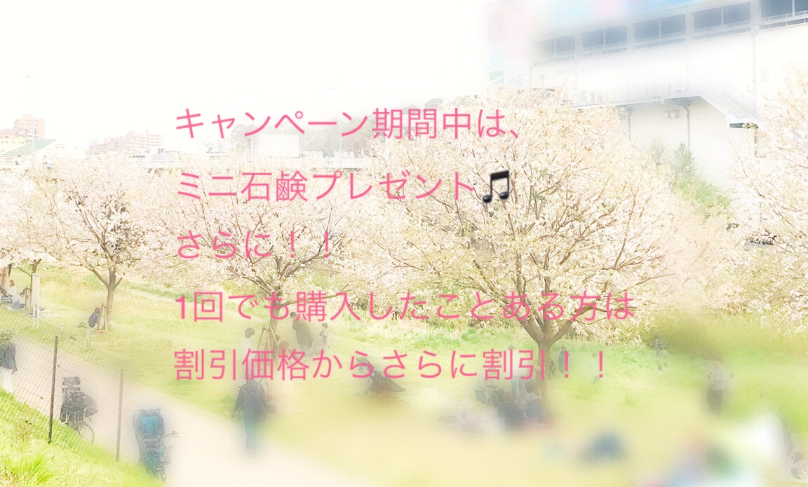 写真 2019-04-08 午後2 47 26
